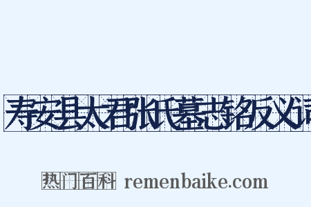 寿安县太君张氏墓志铭反义词是什么意思的图片